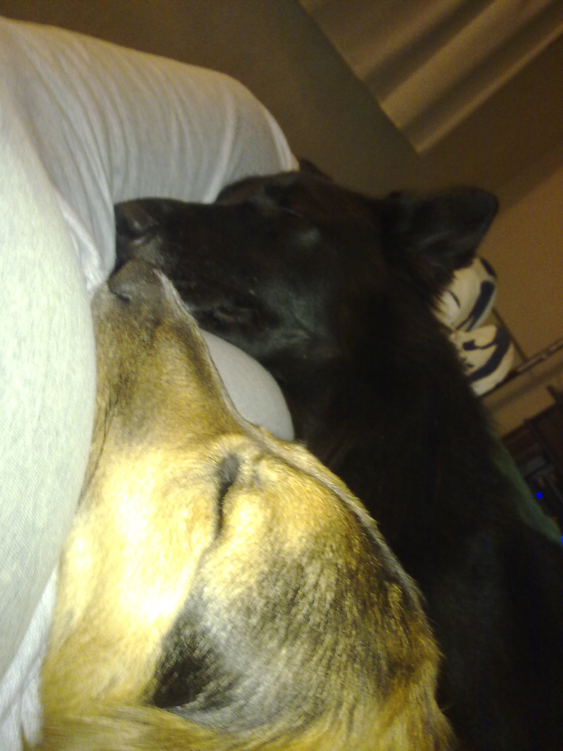 fotos/2010-07-19 - Mision Mundial/11062010430.jpg